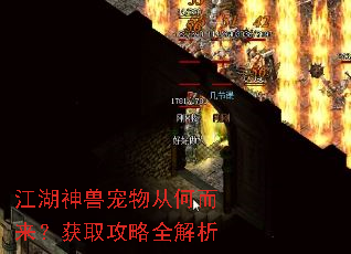 �������޳���Ӻζ�������ȡ����ȫ����